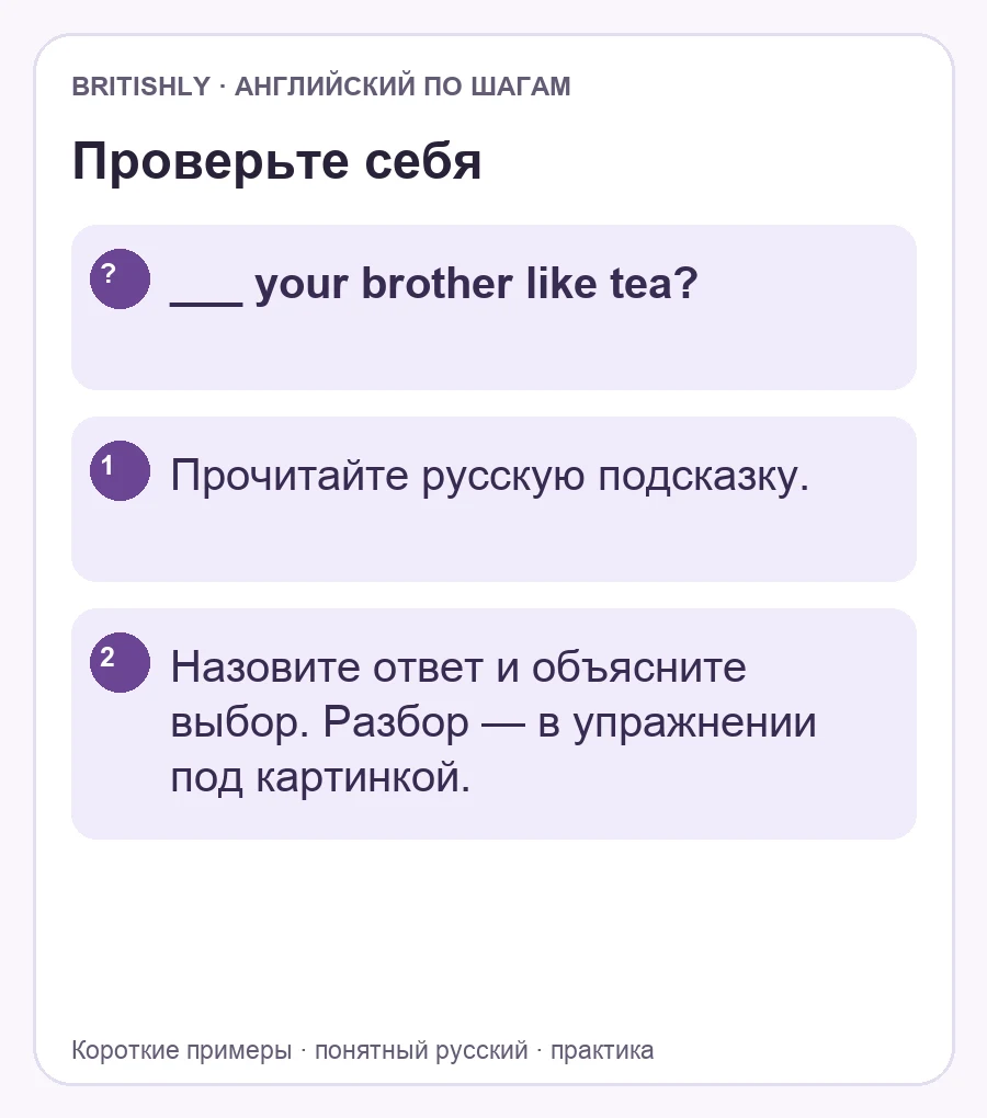Самостоятельное задание: ___ your brother like tea?. Ответ с объяснением находится ниже.